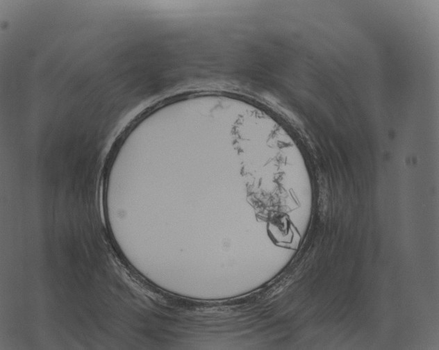 X0000073451272200608251657