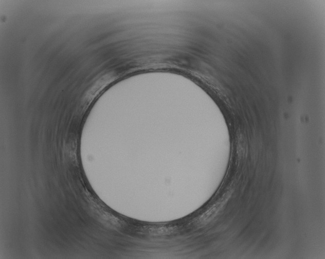 X0000073451273200608251657