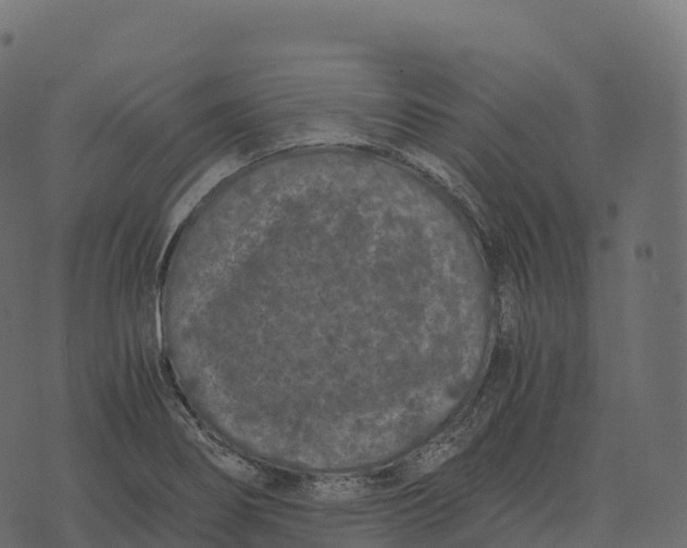 X0000073451274200608251657