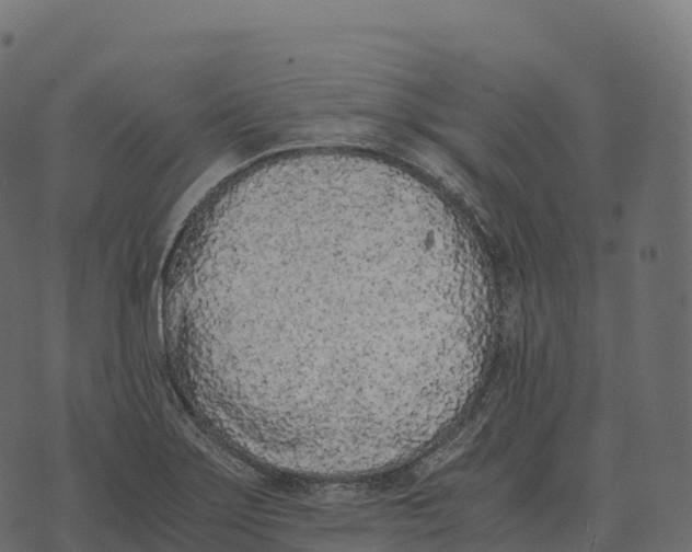 X0000073451275200608251656