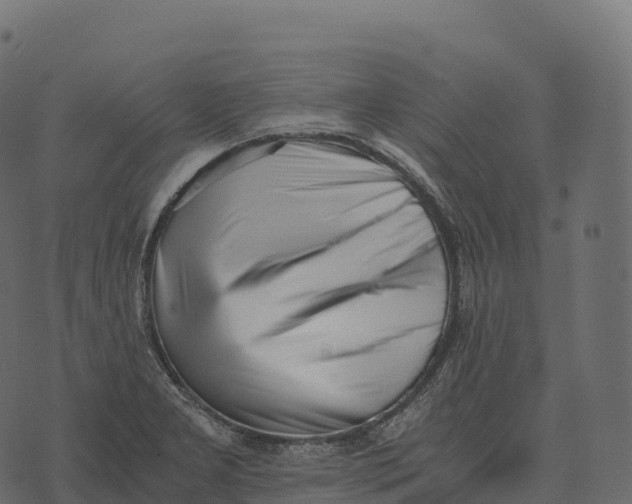 X0000073451277200608251656