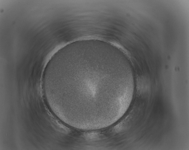 X0000073451278200608251656