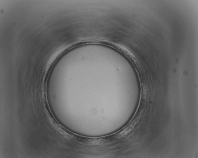 X0000073451279200608251656