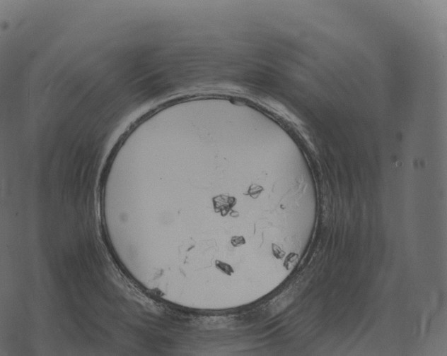 X0000073451280200608251656