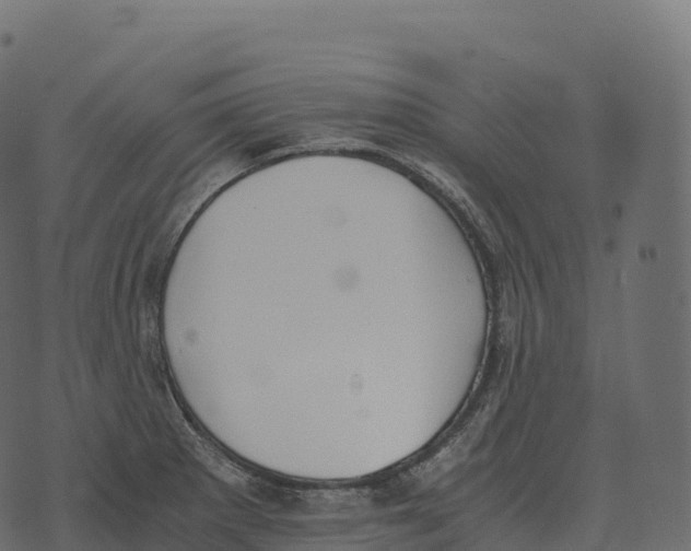 X0000073451281200608251656