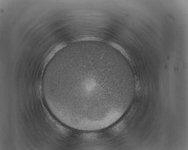 X0000073451282200608251656