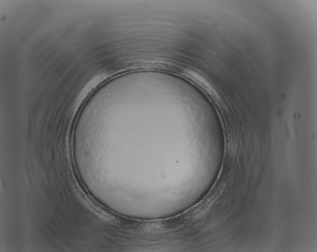 X0000073451283200608251656