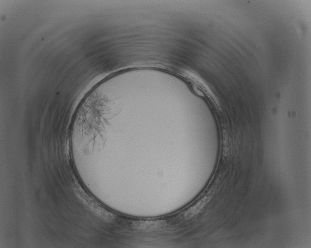 X0000073451284200608251656