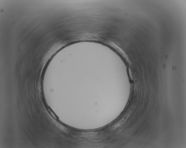 X0000073451285200608251656