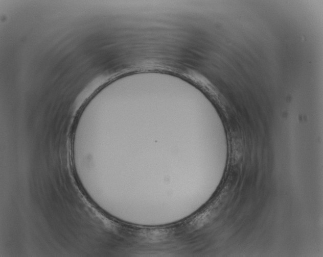 X0000073451286200608251656