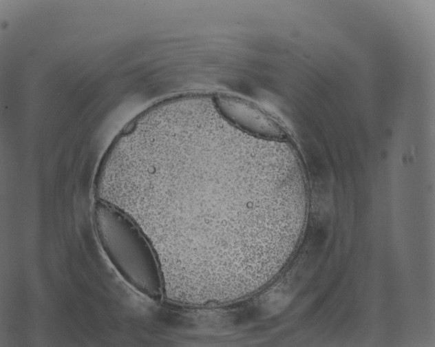 X0000073451287200608251656