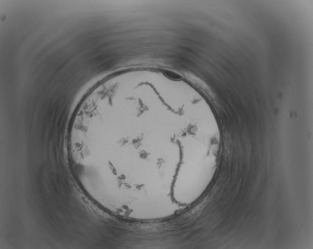 X0000073451288200608251656