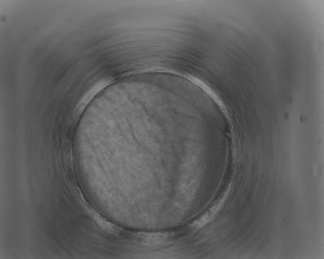 X0000073451289200608251656