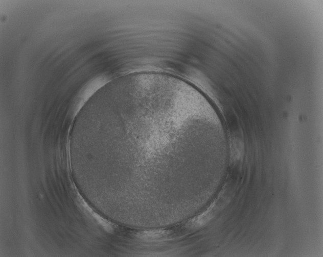 X0000073451290200608251656