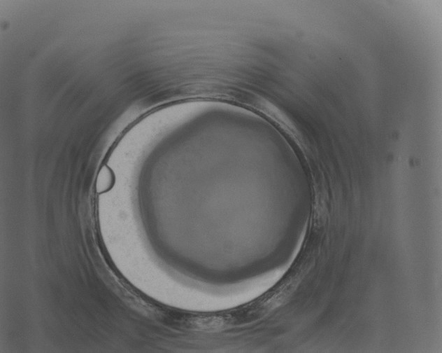 X0000073451291200608251656