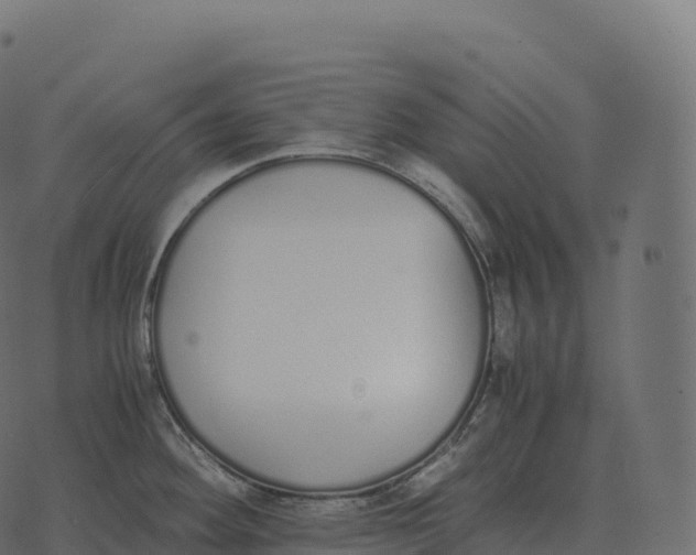 X0000073451292200608251656