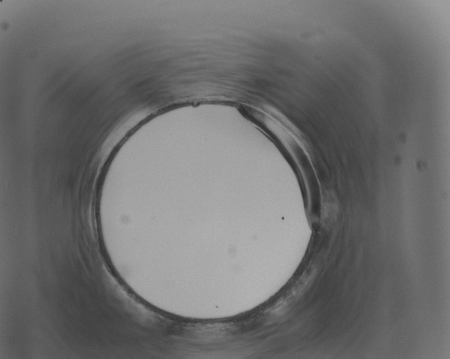 X0000073451293200608251656