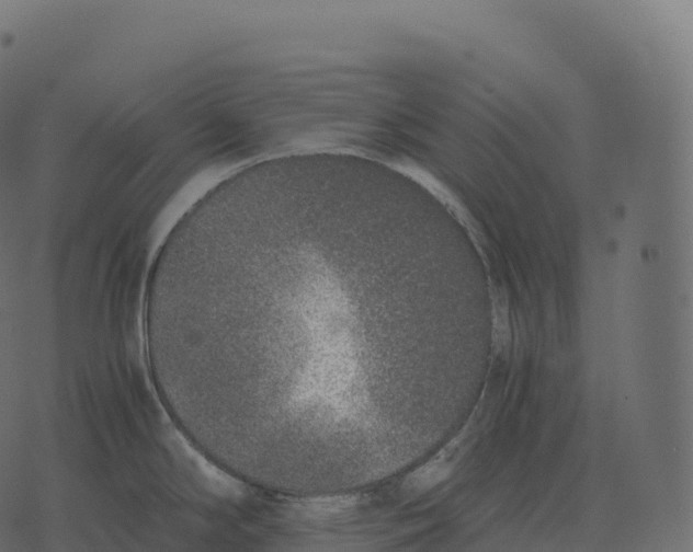 X0000073451294200608251656