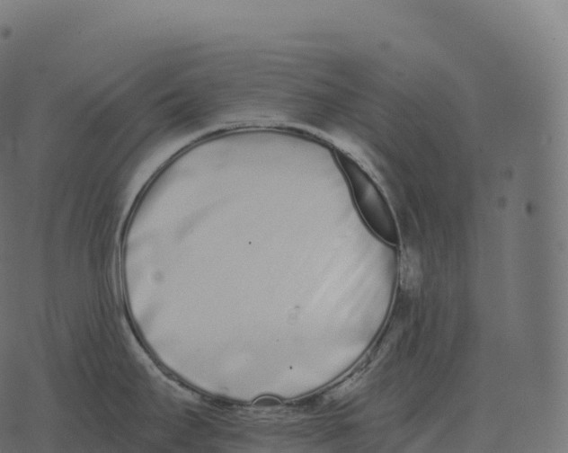 X0000073451295200608251656