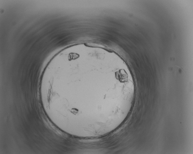 X0000073451296200608251656