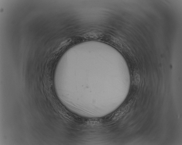 X0000073451297200608251655