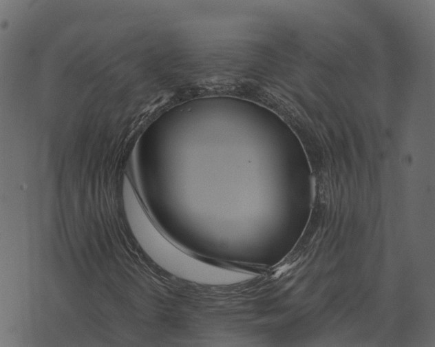 X0000073451298200608251655