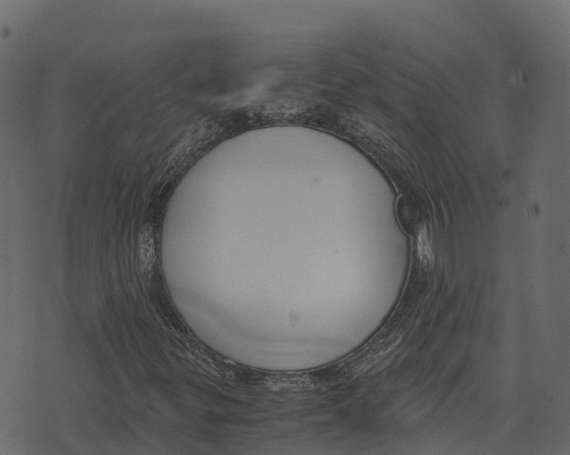 X0000073451299200608251655