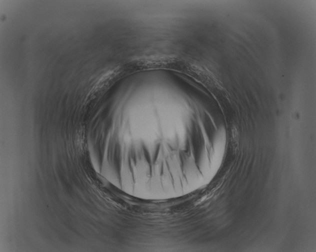 X0000073451300200608251655