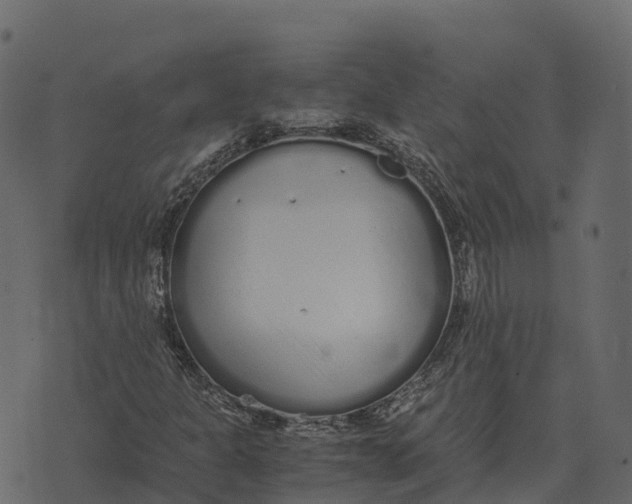 X0000073451301200608251655