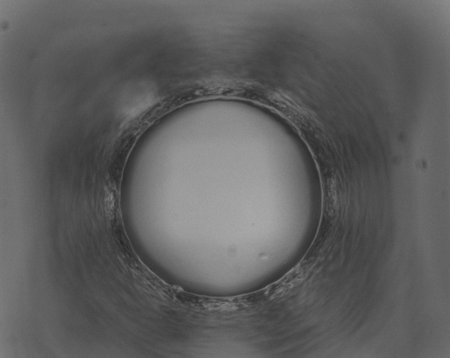 X0000073451302200608251655