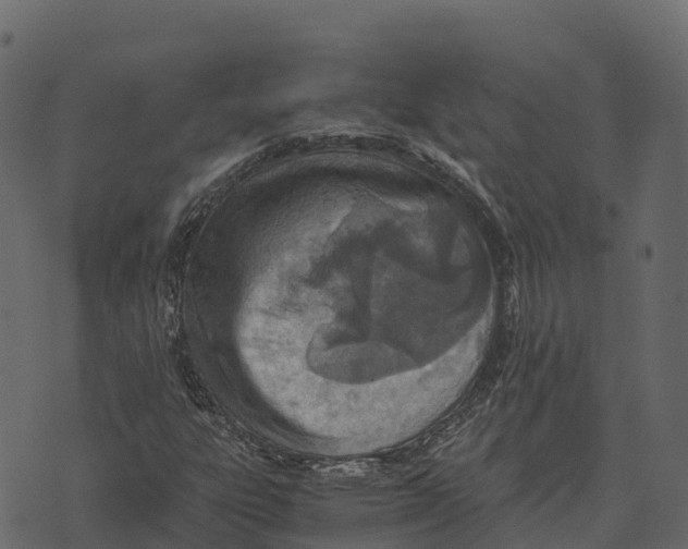 X0000073451303200608251655