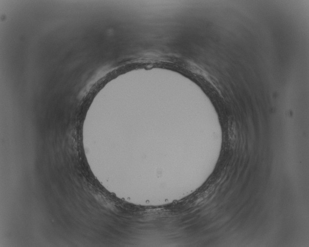 X0000073451304200608251655