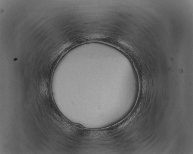 X0000073451305200608251656