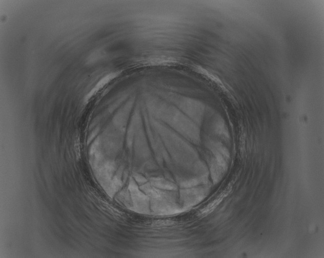 X0000073451306200608251656