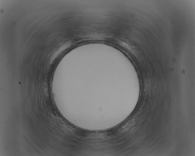 X0000073451307200608251656