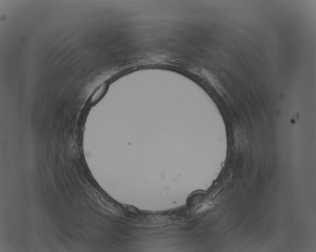 X0000073451308200608251656