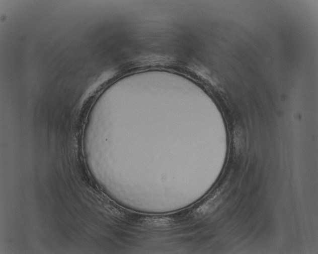 X0000073451309200608251656