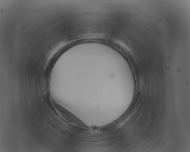 X0000073451310200608251656