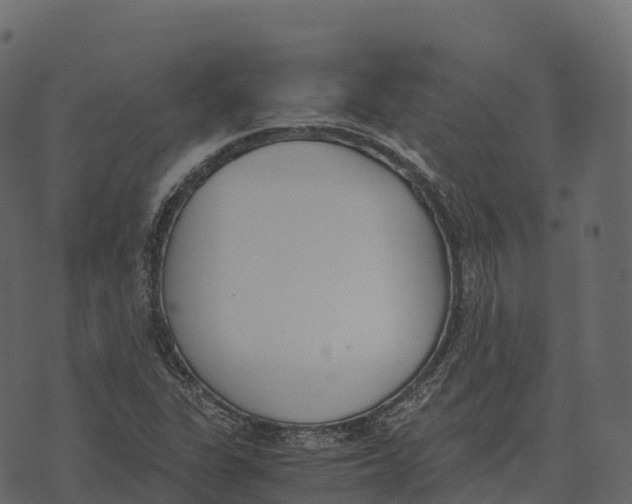 X0000073451311200608251656