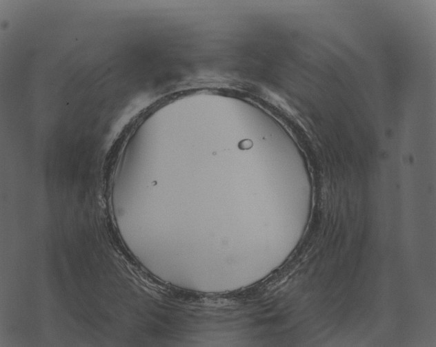 X0000073451312200608251656