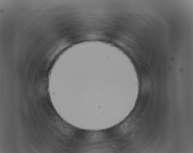 X0000073451314200608251656