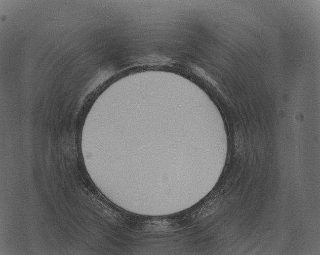 X0000073451315200608251656