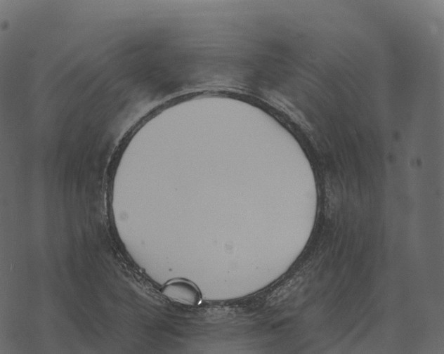 X0000073451316200608251656