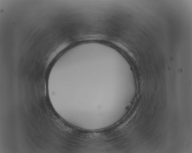 X0000073451317200608251656