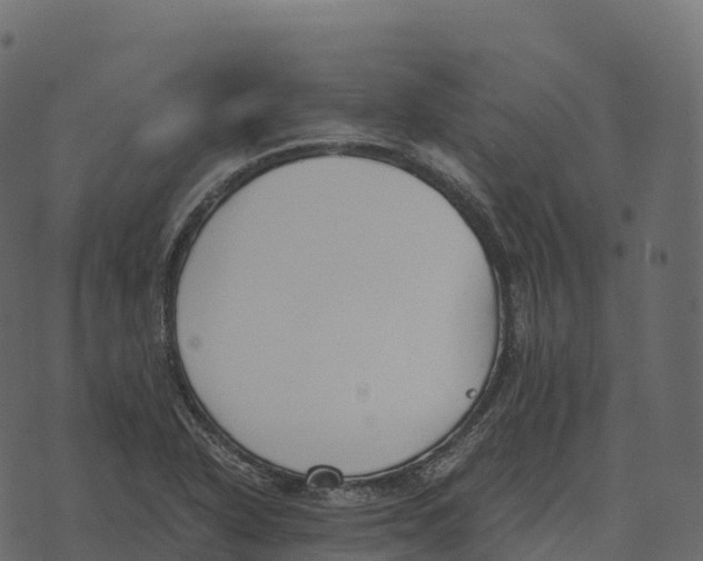 X0000073451318200608251656