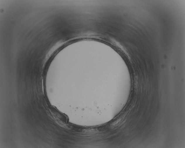 X0000073451320200608251656