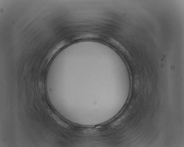 X0000073451321200608251656