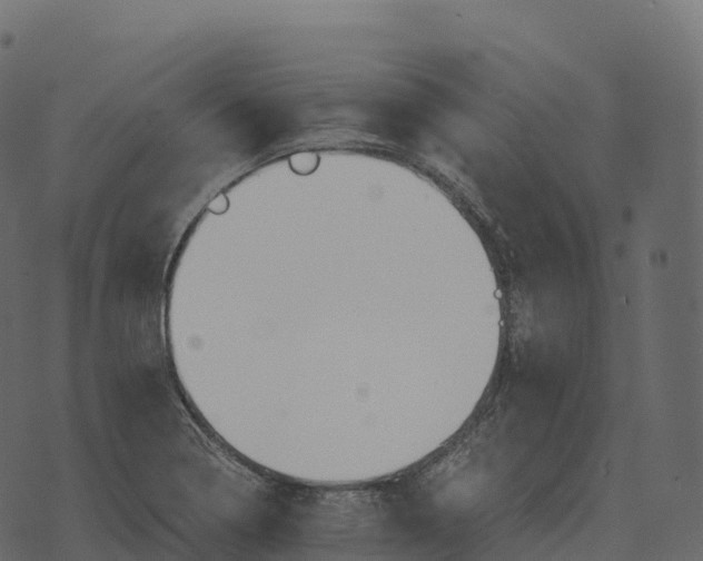 X0000073451322200608251656