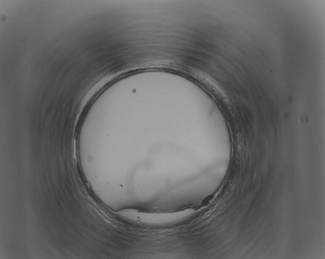 X0000073451324200608251656