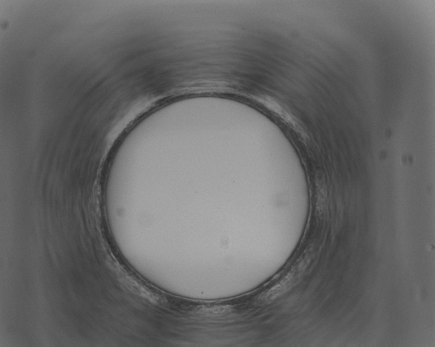 X0000073451325200608251656